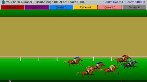 Flat Race Horse Racing screenshot 8