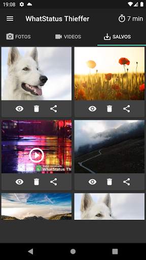 WhatStatus Thieffer screenshot 4