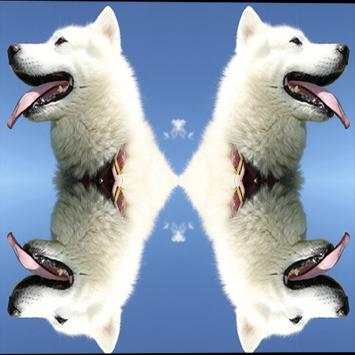 Mirror Camera Collage screenshot 6