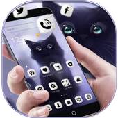 Fluffy kitty Theme Wallpaper Kitty Lock Screen 1.1.1