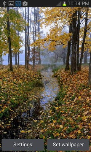 Rainy Autumn Live Wallpaper screenshot 1