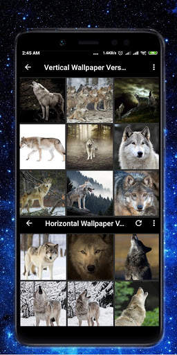 Free Wolf Wallpaper HD screenshot 3