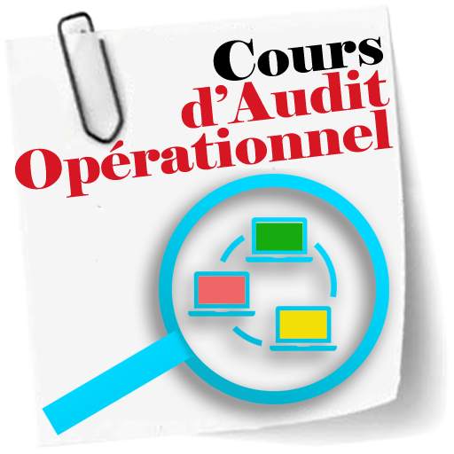 Cours d Audit Operationnel 2.5
