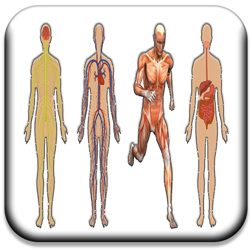 All Body Systems icon