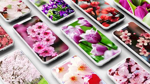 Spring Wallpaper screenshot 1