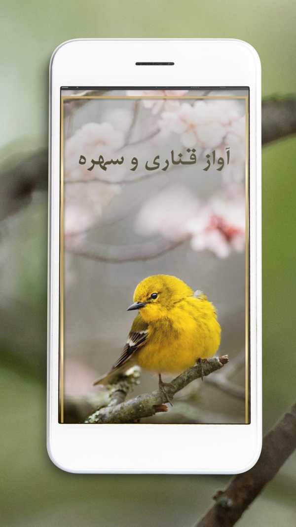 آموزش آواز قناری و سهره screenshot 2