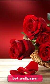 Red Rose Image And Wallpaper screenshot 5