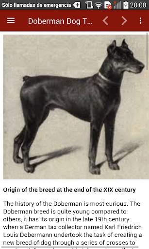 Doberman Dog Training screenshot 2