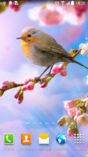 Flower Live Wallpaper screenshot 1