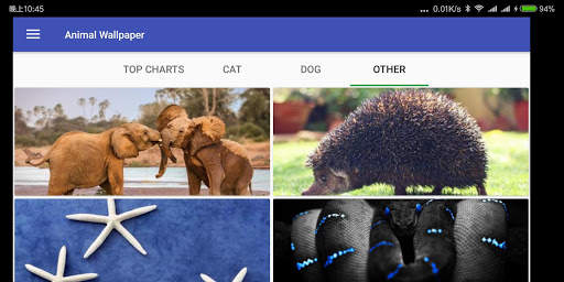 Animal Wallpaper screenshot 10