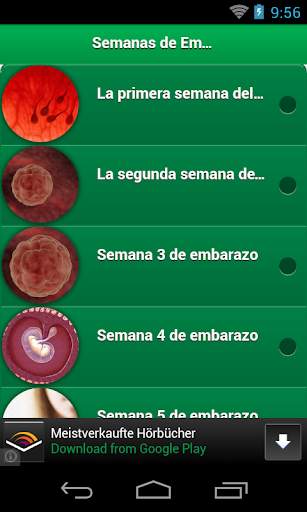 Semanas de Embarazo screenshot 1
