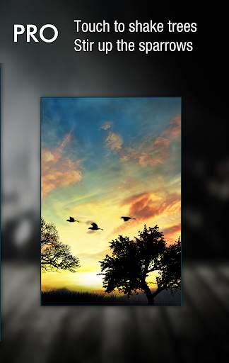 Sunset Hill Free LiveWallpaper screenshot 6