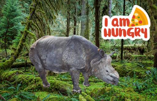 Wild Animal Photo Frames screenshot 3