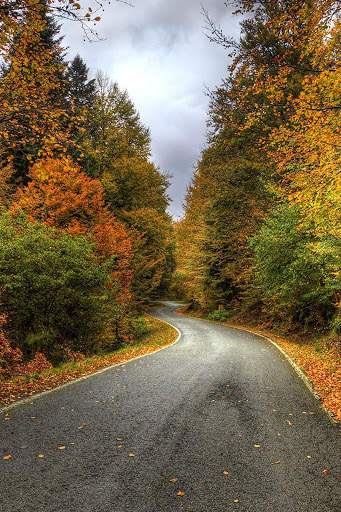 Autumn Wallpapers | hd backgrounds screenshot 6