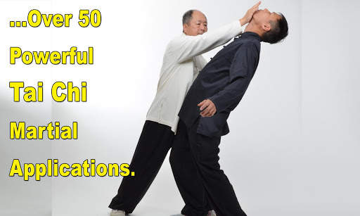 Tai Chi Martial Applications screenshot 13
