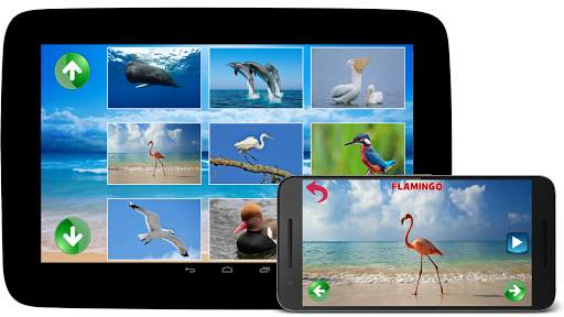 Animal Sounds screenshot 6