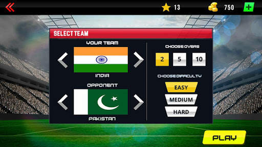 Real World Cricket Tournament  screenshot 5