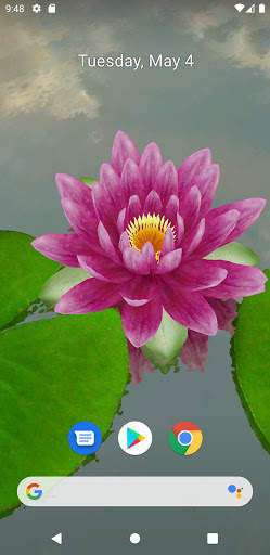 3D Lotus Pond Live Wallpaper screenshot 4