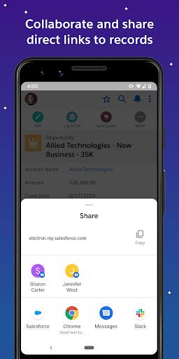 Salesforce screenshot 1