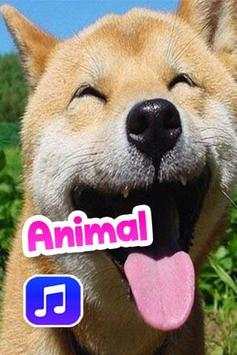 Animal Sounds Ringtones screenshot 2