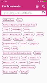 Lite Downloader screenshot 1