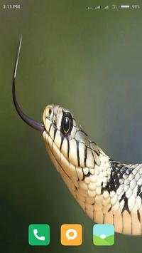 HD Snake Wallpapers screenshot 10