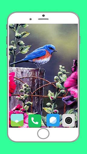 Birds Full HD Wallpaper स्क्रीनशॉट 7