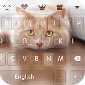 keyboard - Boto : Cute Kitty 1.2.0