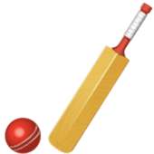 Cricket Commentary