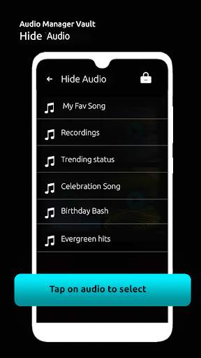 Audio Manager: Hide photo screenshot 7