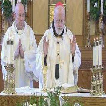Catholic Daily Mass Readings screenshot 1