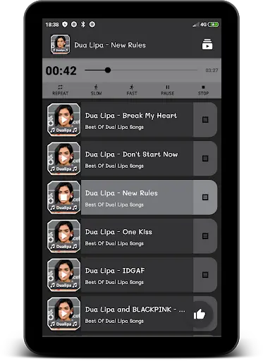 Dua Lipa Music Offline ( Best Songs) screenshot 2