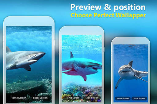 Shark Live Wallpaper screenshot 6