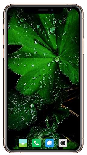 Nice Green Wallpaper screenshot 10