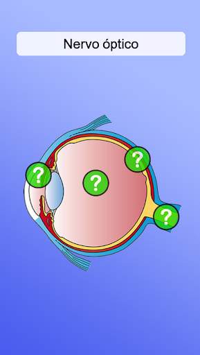 Anatomia screenshot 4