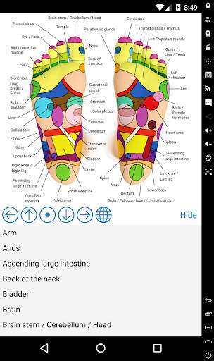 Foot Reflexology Chart screenshot 1