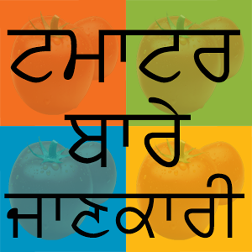 Tomato DSS icon