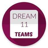 pro tips dream11 4.0