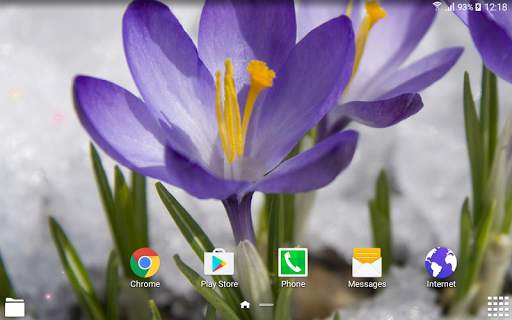 Spring Flowers Live Wallpaper screenshot 8