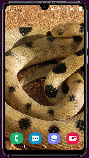 Snake Wallpaper Best HD screenshot 7