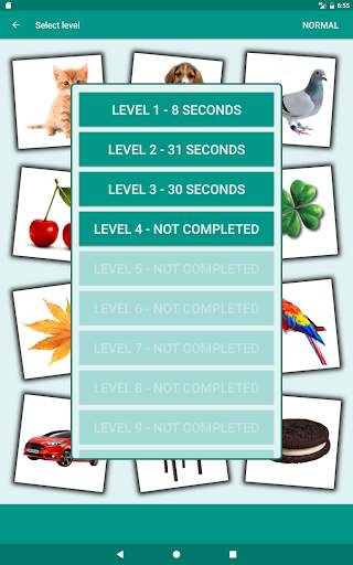 Brain game. Picture Match. screenshot 18