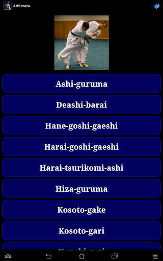Judo in brief screenshot 24