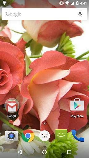 Rose Wallpaper screenshot 2