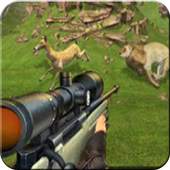 Animal Hunter sniper 3D 1.0
