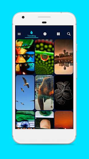 PhotoBi - A Unique Wallpaper Collection screenshot 1