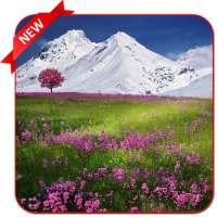 Nature Photo Editor – Nature Wallpaper