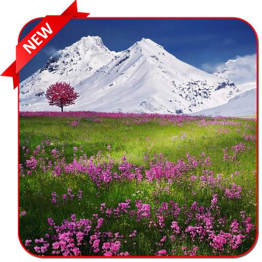 Nature Photo Editor – Nature Wallpaper 1.5