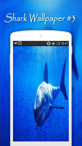 Shark Wallpapers screenshot 4