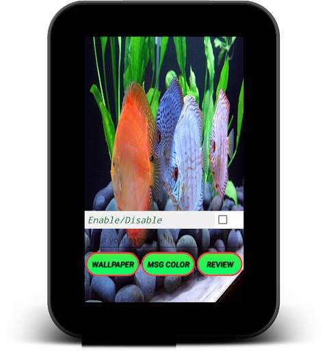 Discus Aquarium Live Wallpaper screenshot 8