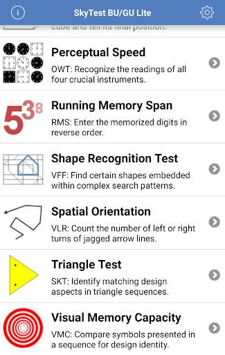 SkyTest BU/GU Lite screenshot 2